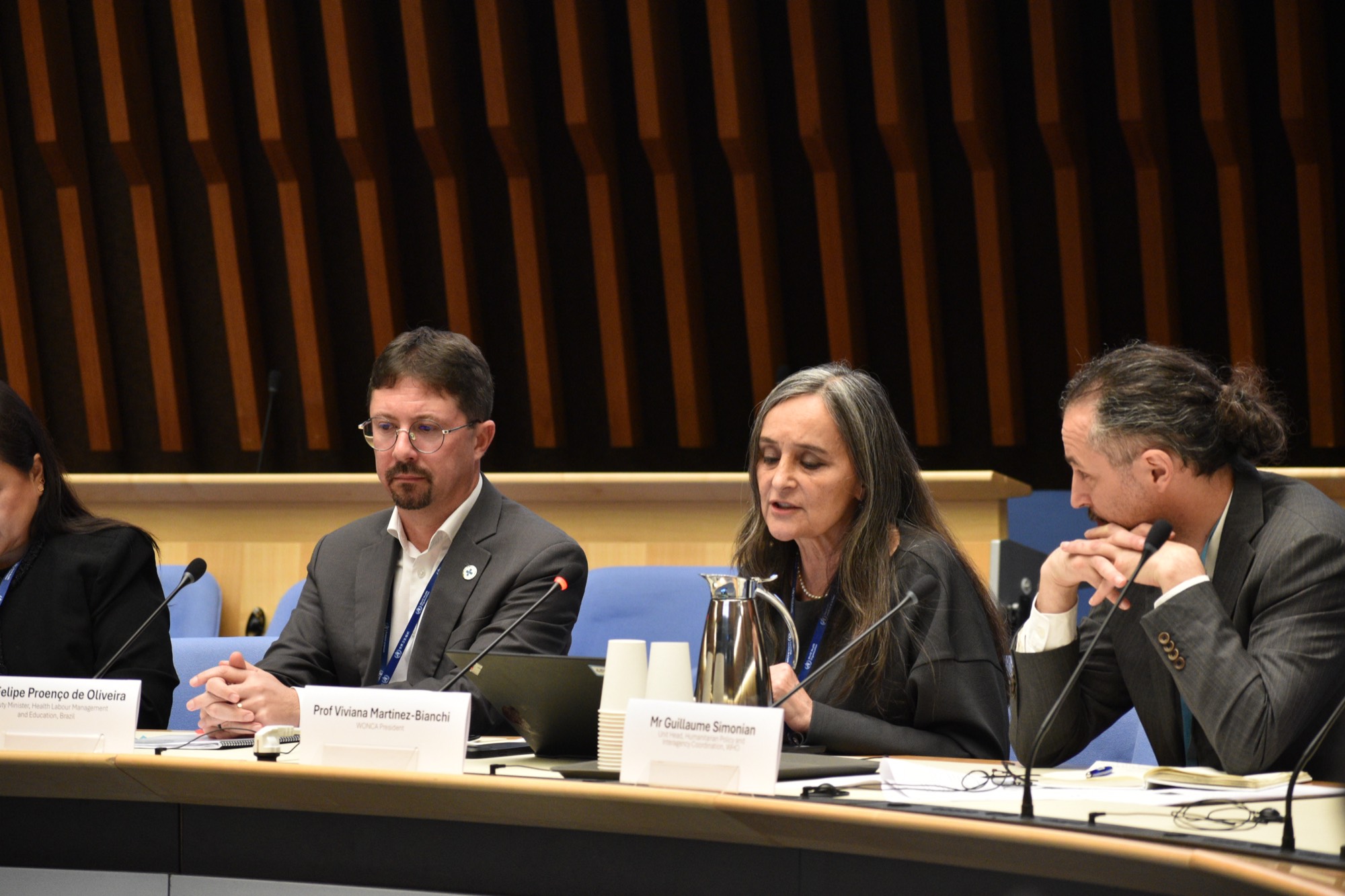 Speaker addressing the Bridging Health and Peace side event